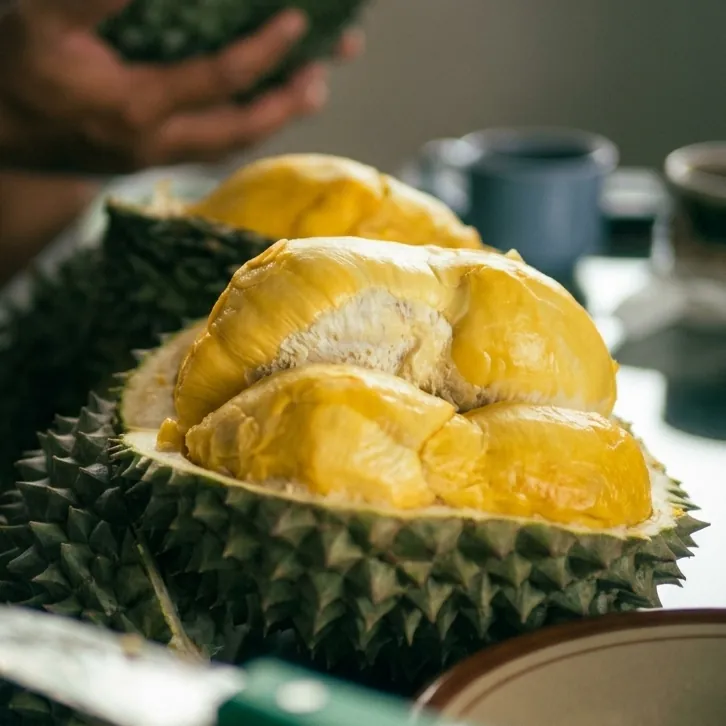 Freshly opened Bawor durian with thick golden flesh